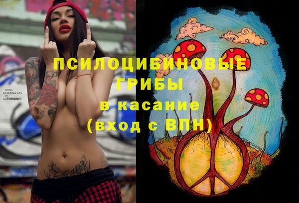 спайс Вязьма