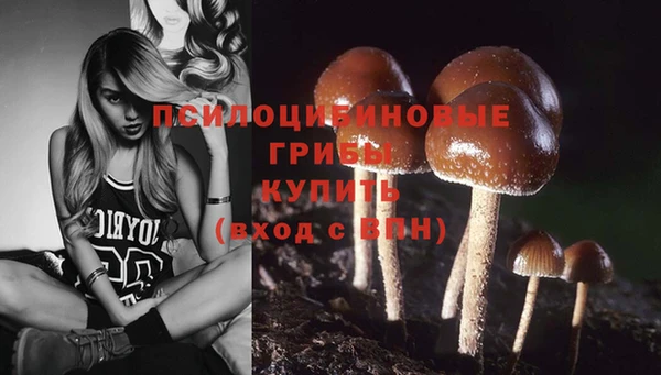 MESCALINE Волоколамск