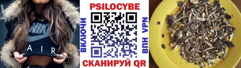 Псилоцибиновые грибы Psilocybe  Пушкино 